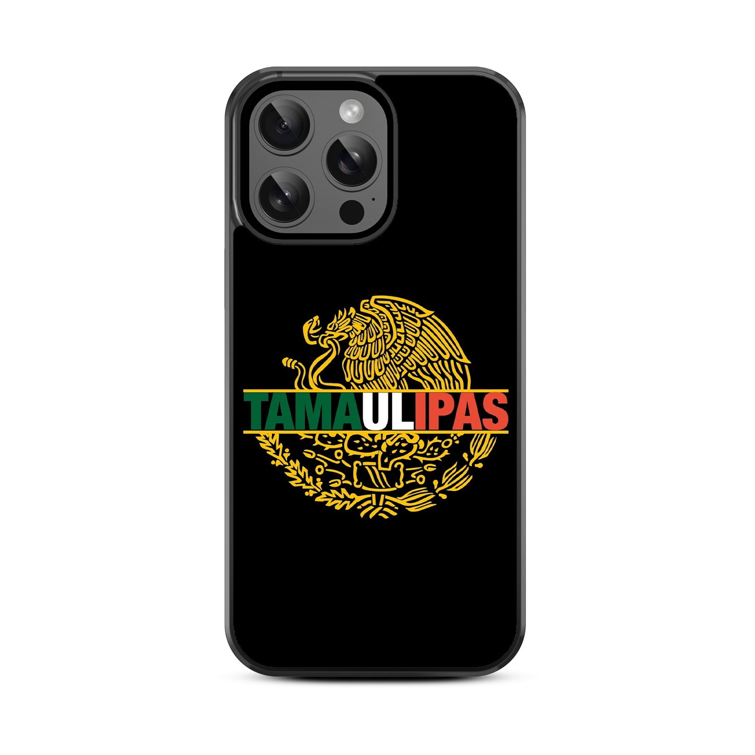 MyBat Design Lab Series Case for Apple iPhone 15 Pro (6.1) - Tamaulipas - MIP15PCSLESM053-3.jpg