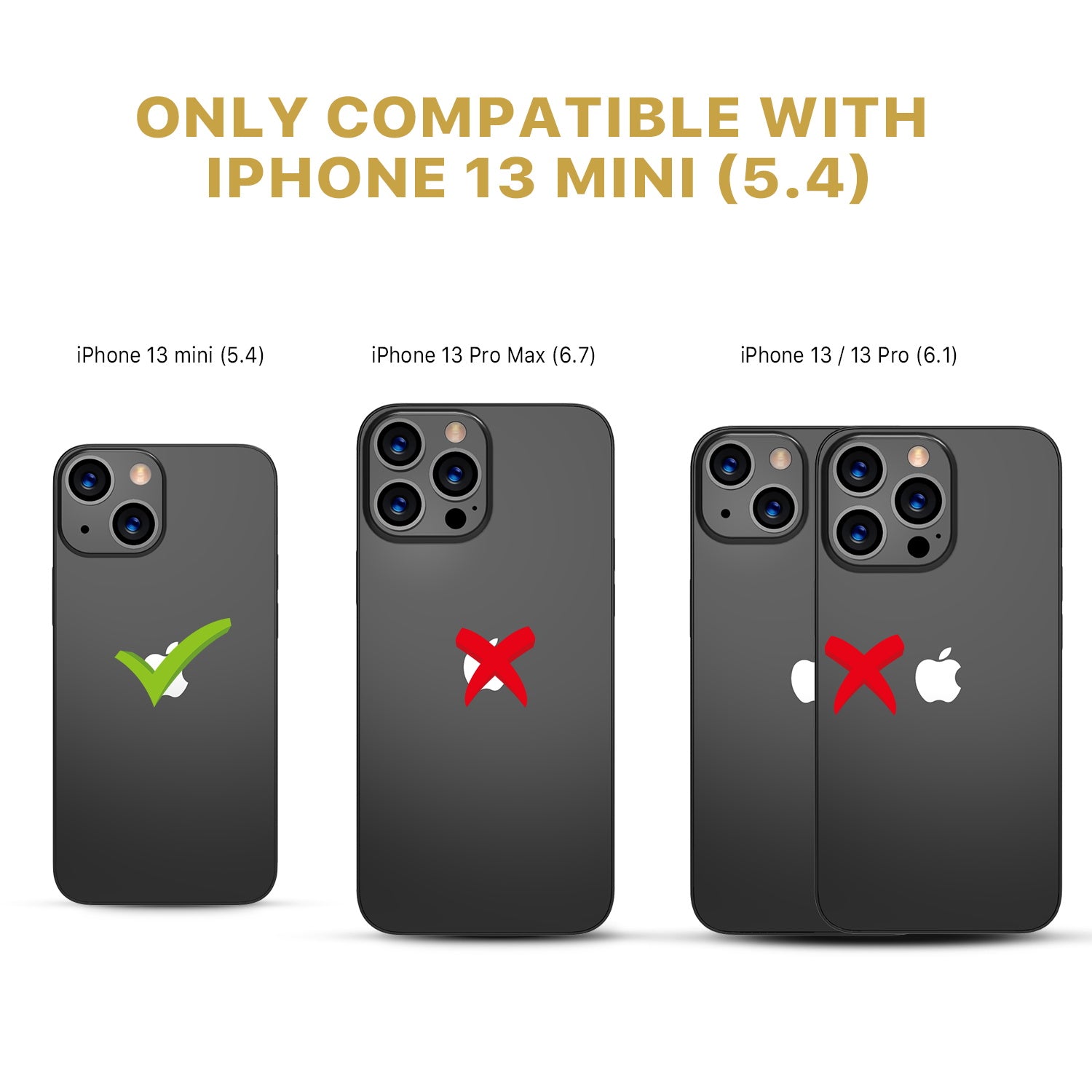 RIP13MSC85A-3.jpg